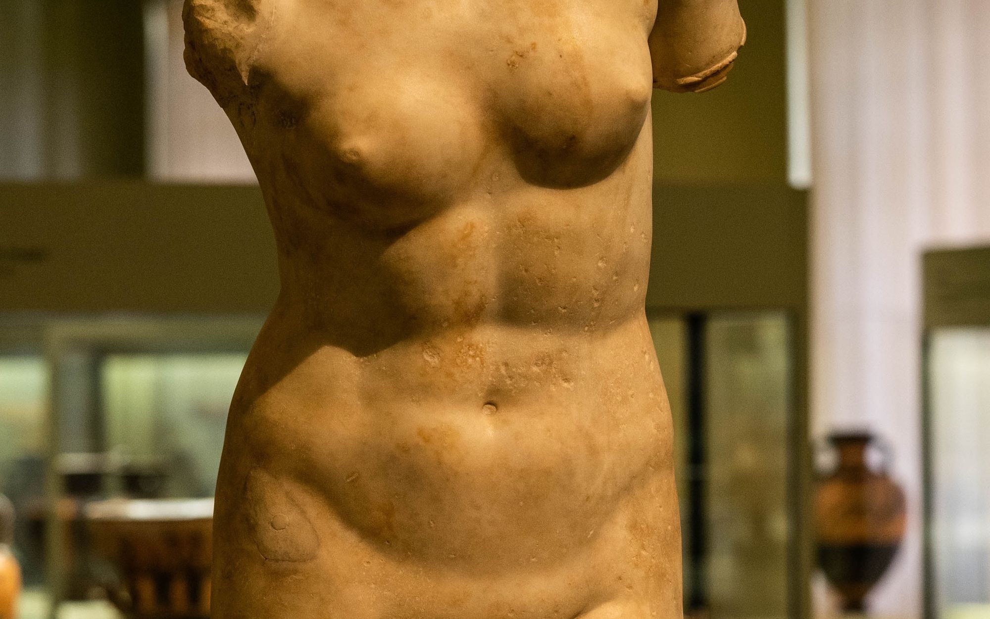 Explore and Understand the Anatomy of the Female Torso: A Comprehensive Guide
